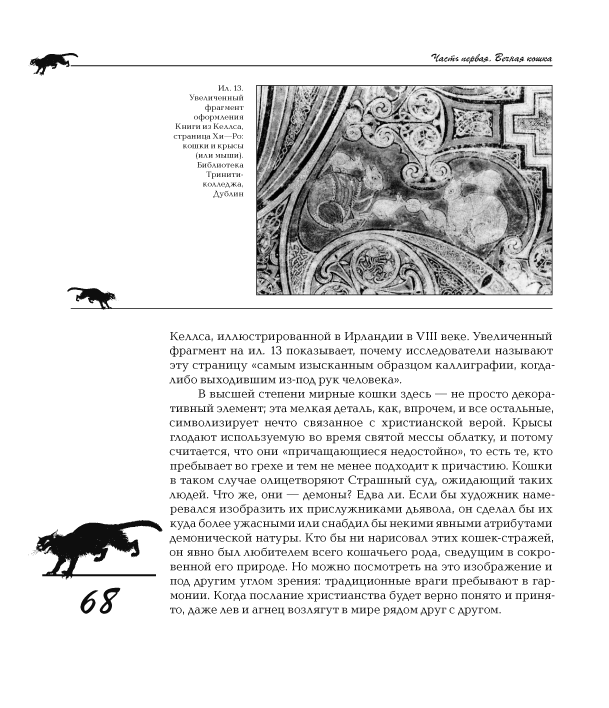 68       